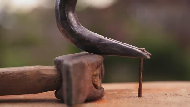 La herramienta saca los clavos martillados del tablero. — Vídeos de Stock