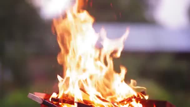 Полум'я вогню яскраво горить у сутінках — стокове відео