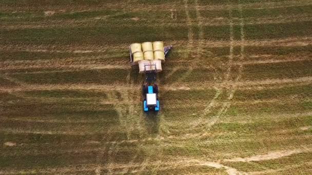 Harvesting machinery harvester loads haystacks onto the machine. — Stock Video