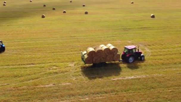Travail sur le terrain pour la récolte du foin avec un équipement spécial — Video