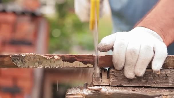 Una mano sostiene una sierra de mano y corta tablas con ella. — Vídeos de Stock