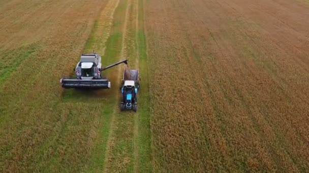 収穫機の脱穀機を機械に組み合わせます. — ストック動画