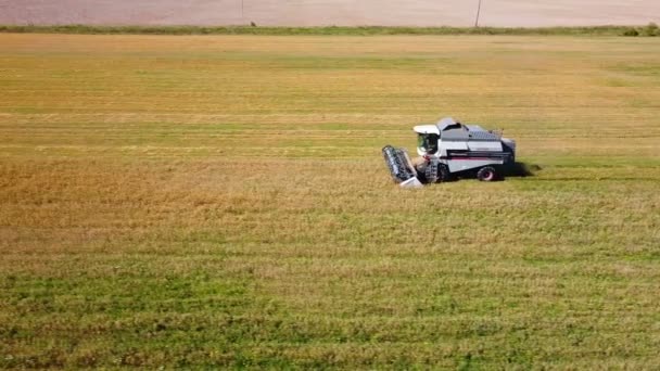 The harvester works in the field, removes agricultural crops. — Stock Video