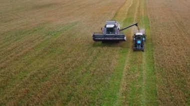 Hasat makinası nakliye makinesine tahıl döker..