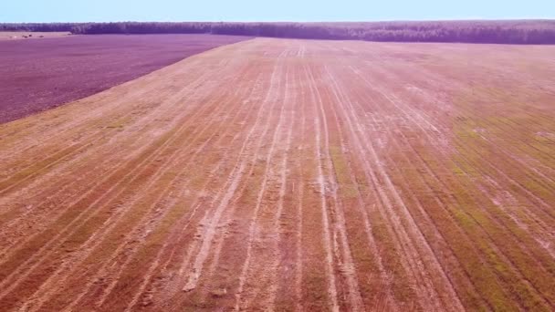 Ein gepflügtes Feld für die Winterbepflanzung in den Sonnenstrahlen, die aus einem Quadrocopter geschossen werden. — Stockvideo