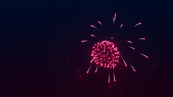 Focuri de artificii roșii festive împotriva cerului negru de noapte — Videoclip de stoc