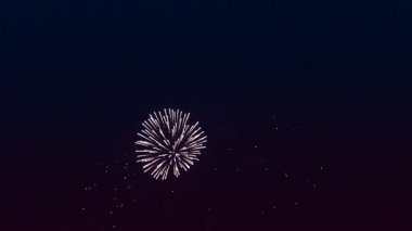 Kara gece gökyüzünde renkli, parlak havai fişekler