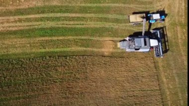 Tarlada hasat işiyle uğraşan hasatçıları birleştirin..