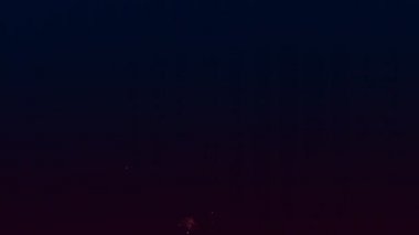 Parlak renkli havai fişekler kara gece gökyüzüne karşı.