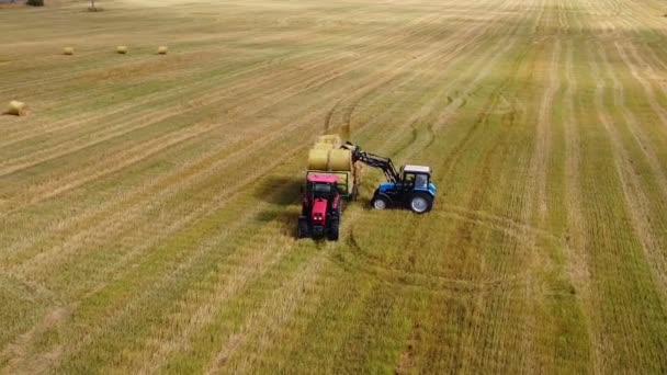 複合収穫機は圧縮された干し草をマシンにロードします。. — ストック動画