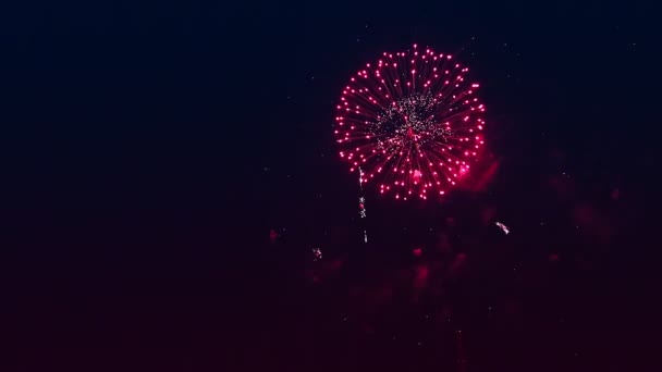 Fogos de artifício vermelhos e prateados contra o céu negro da noite. — Vídeo de Stock