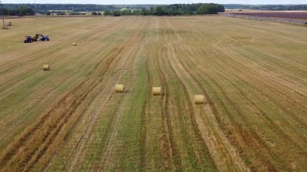 Cosechadora de equipos de cosecha en el campo elimina el heno en pilas — Vídeo de stock