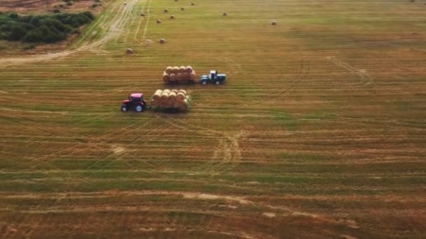 Erntemaschinen auf dem Feld entfernen gepressten Heuhaufen — Stockvideo