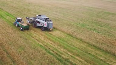 Hasat makinası nakliye makinesine tahıl döker.