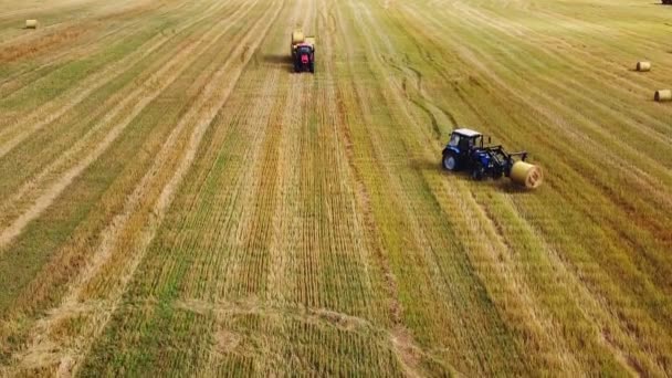 Trabajo en el campo para la cosecha de heno con cosechadoras y tractor. — Vídeo de stock