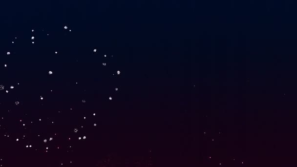 Lumini luminoase colorate focuri de artificii pe cerul negru de noapte — Videoclip de stoc