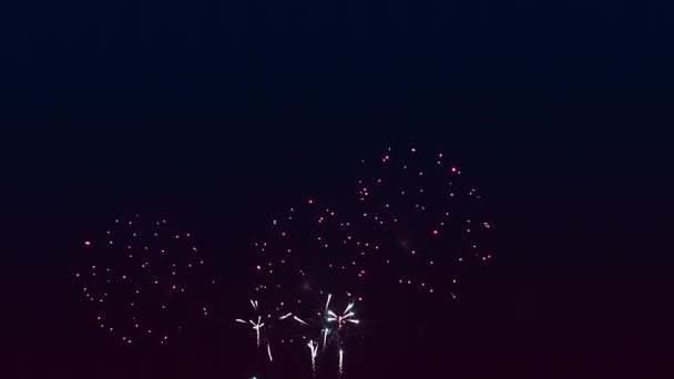 Scintille rosse fuochi d'artificio ardenti contro il cielo notturno nero — Video Stock