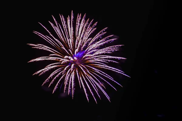 Fogos de artifício brilhantes roxo e ouro no céu noturno. — Fotografia de Stock