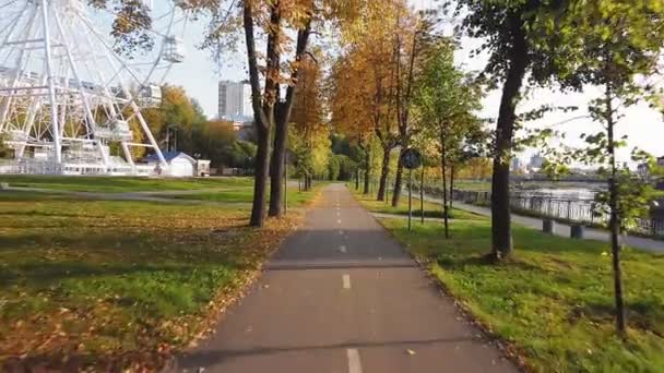 Luchtfoto van herfstpark steegje en fietspad op een zonnige dag — Stockvideo