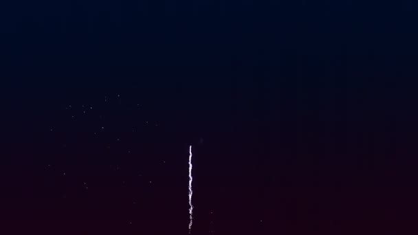 Azul e roxo luzes fogos de artifício contra o céu negro noite. — Vídeo de Stock