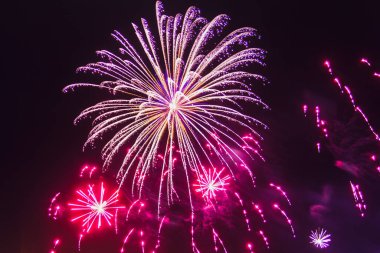 Gece gökyüzünde pembe ve mor havai fişekler parlıyor.