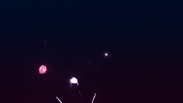 Rozrzucone gwiazdy fajerwerki na czarnym nocnym niebie — Wideo stockowe