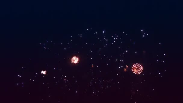Artificii multicolore luminoase împotriva cerului negru de noapte — Videoclip de stoc