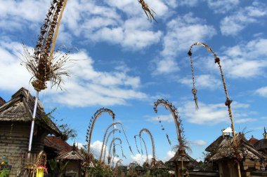 Penglipuran köyü bir ikonik geleneksel mahalle Hindistan cevizi tam (janur) bırakır. Bali, Temmuz 2018 alınan.