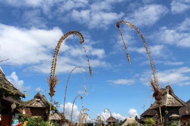 Penglipuran köyü bir ikonik geleneksel mahalle Hindistan cevizi tam (janur) bırakır. Bali, Temmuz 2018 alınan.