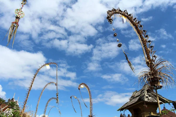 Penglipuran köyü bir ikonik geleneksel mahalle Hindistan cevizi tam (janur) bırakır. Bali, Temmuz 2018 alınan.