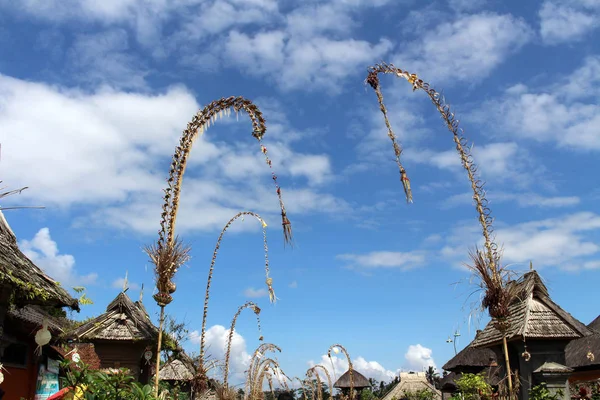 Penglipuran köyü bir ikonik geleneksel mahalle Hindistan cevizi tam (janur) bırakır. Bali, Temmuz 2018 alınan.