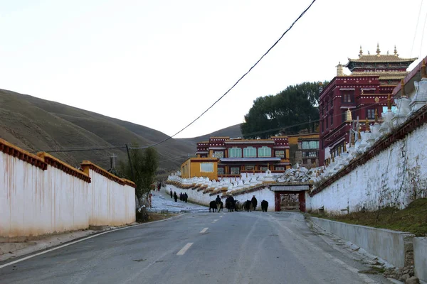 Ein Kloster Litang Amdo Tibet War Ruhig Nur Schafe Waren — Stockfoto