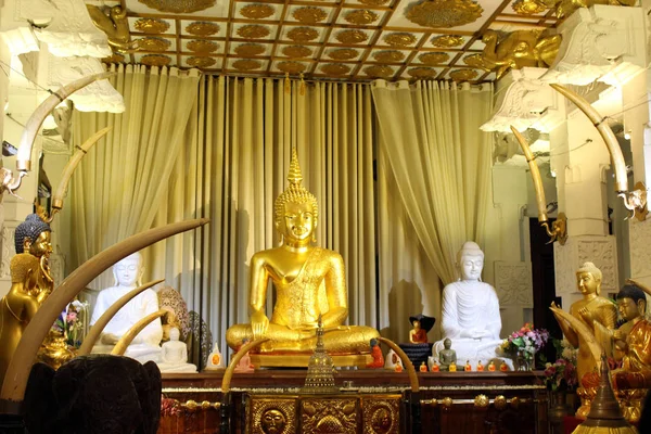 Статуя Золотого Будди Храм Священного Зуба Канді Прийняті Шрі Ланці — стокове фото
