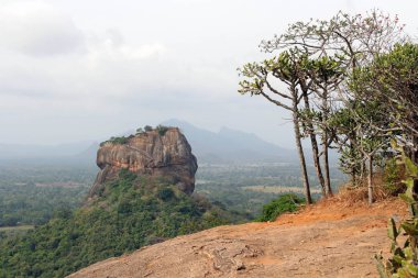 Pidurangala Rock, Sigiriya uzak olmayan geniş görünümden. Sri Lanka'da Ağustos 2018 alınan.