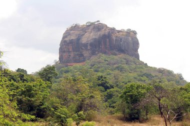 Güçlü Sigiriya - Lion Rock girişinden görüldüğü gibi -. Sri Lanka'da Ağustos 2018 alınan.