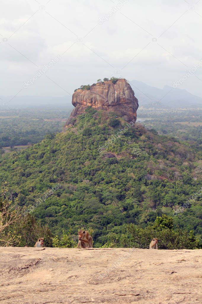 Dogs and monkeys enjoying Sigiriya - The Lion Rock-, as seen from Pidurangala Rock. Taken in Sri Lanka, August 2018.