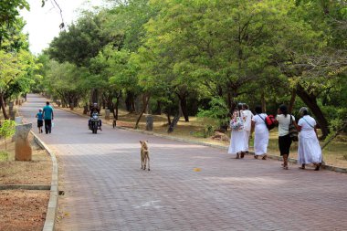 Yol, insanlar ve çevresinde Polonnaruwa antik kent kalıntıları. Sri Lanka'da Ağustos 2018 alınan.
