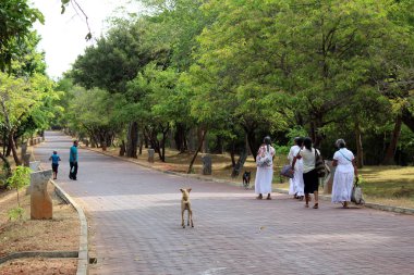 Yol, insanlar ve çevresinde Polonnaruwa antik kent kalıntıları. Sri Lanka'da Ağustos 2018 alınan.