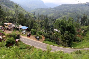 Çay plantasyon Ella doğal tren yolu boyunca toplayan. Sri Lanka'da Ağustos 2018 alınan.