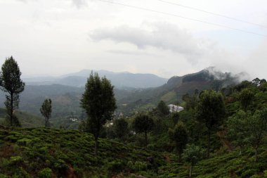 Yeşil çay plantasyon ve yol boyunca bir kasaba manzaralı trende Ella için geçen tren. Sri Lanka'da Ağustos 2018 alınan.