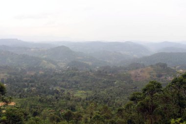 Yeşil çay plantasyon ve yol boyunca bir kasaba manzaralı trende Ella için geçen tren. Sri Lanka'da Ağustos 2018 alınan.