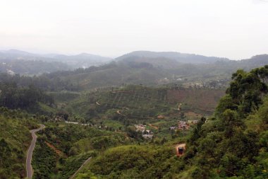 Yeşil çay plantasyon ve yol boyunca bir kasaba manzaralı trende Ella için geçen tren. Sri Lanka'da Ağustos 2018 alınan.