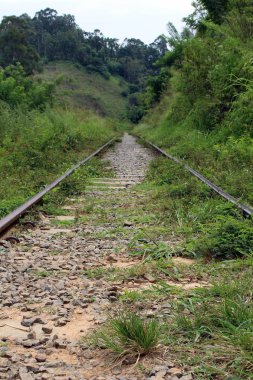 Giden veya Ella istasyonundan demiryolu üzerinde yürüme. Sri Lanka'da Ağustos 2018 alınan.