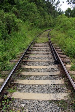 Giden veya Ella istasyonundan demiryolu üzerinde yürüme. Sri Lanka'da Ağustos 2018 alınan.