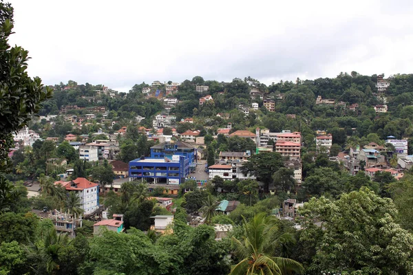 Tłumaczenie Okolice Kandy Wzgórze Zachmurzony Rano Przejeżdżający Pociąg Podjęte Sri — Zdjęcie stockowe