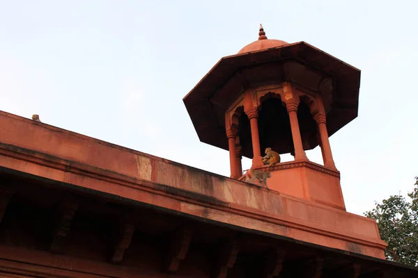 Tac Mahal Agra Bazı Maymunlar Etrafında Dolaşım Olacak Giriş Kapısı — Stok fotoğraf
