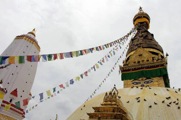 Çeviri: Swayambhunath Stupa (ve onun eyes) etrafında veya Kathmandu maymun Tapınağı. Nepal'de, Ağustos 2018 alınan.