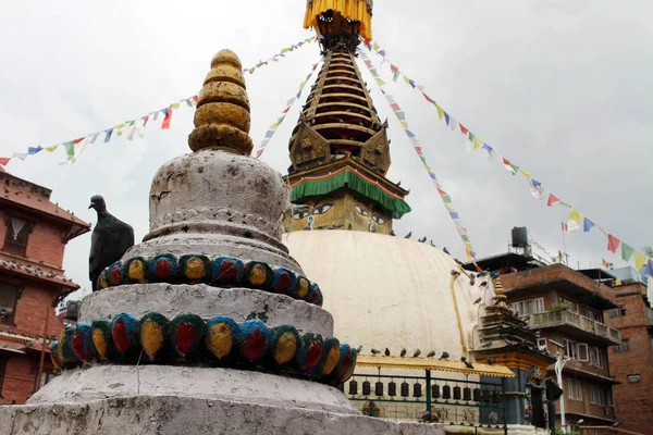Les Oiseaux Autour Stupa Ses Yeux Milieu Marché Local Katmandou — Photo