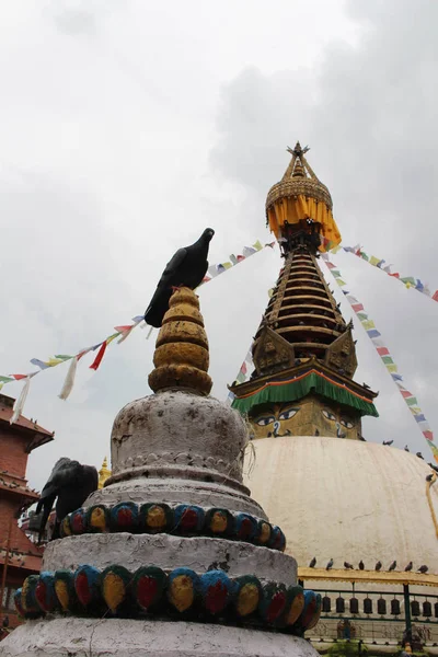 Katmandu Yerel Pazar Ortasında Stupa Onun Eyes Etrafında Kuşlar Nepal — Stok fotoğraf