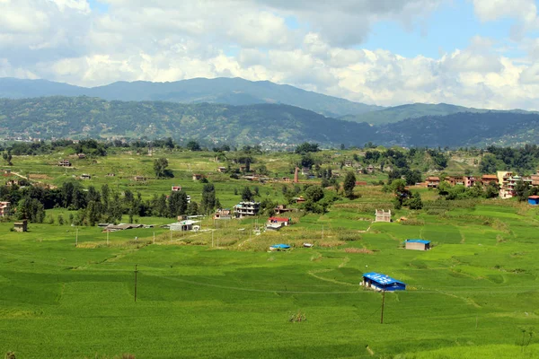 Ricefield Rond Snelweg Tussen Dhulikhel Kathmandu Genomen Nepal Augustus 2018 — Stockfoto